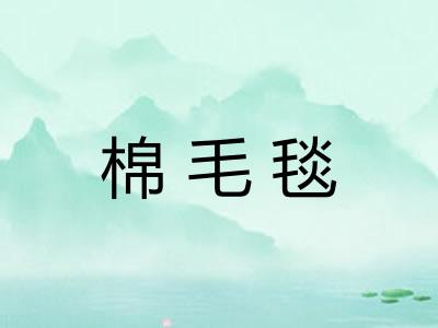 棉毛毯