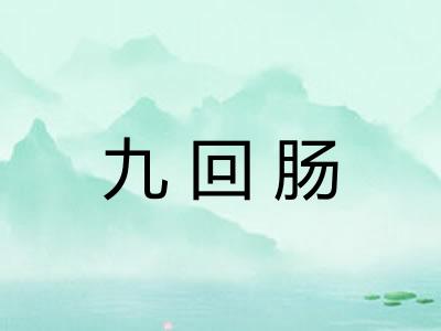 九回肠