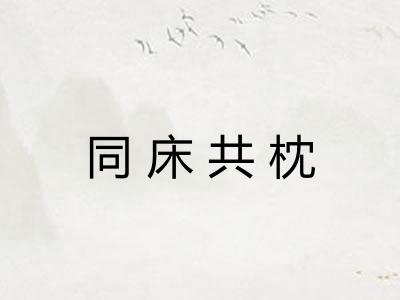 同床共枕