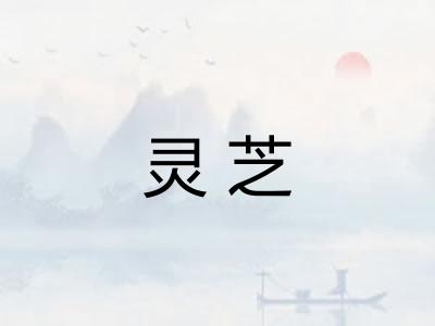 灵芝