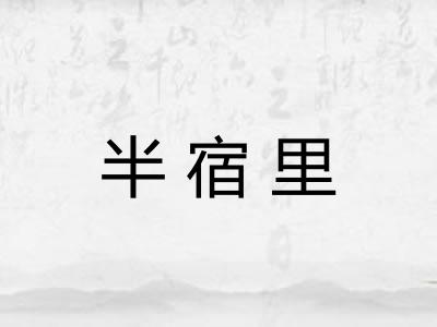 半宿里