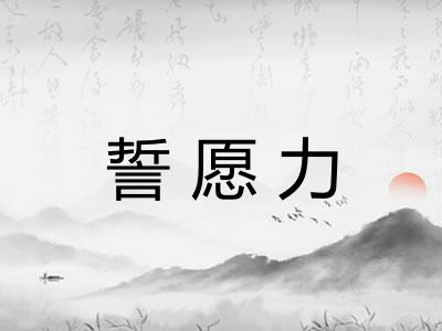 誓愿力 誓愿力