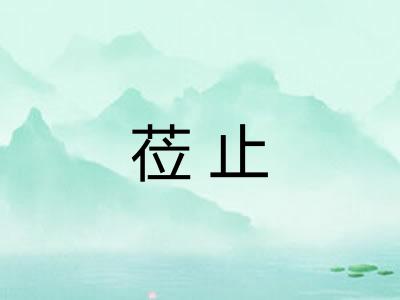 莅止