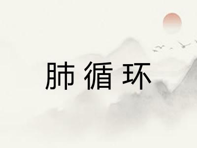 肺循环