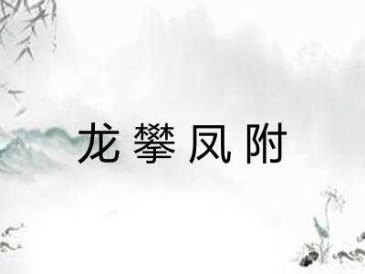 龙攀凤附