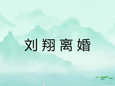 刘翔离婚
