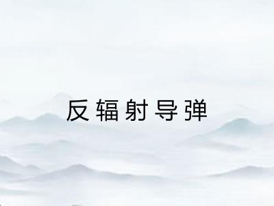 反辐射导弹
