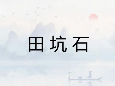 田坑石