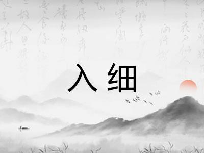入细