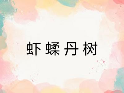 虾蝚丹树