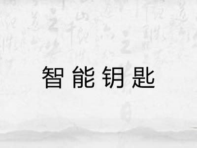 智能钥匙