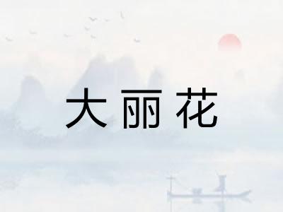 大丽花