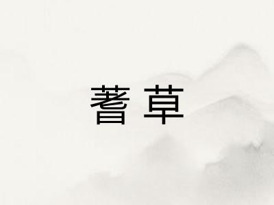 蓍草
