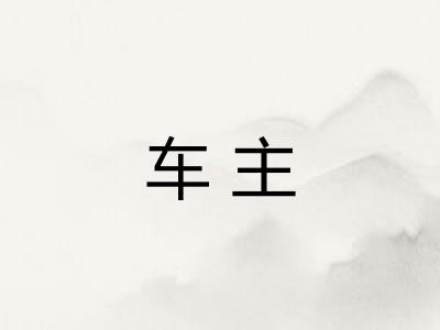 车主