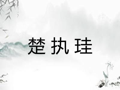 楚执珪