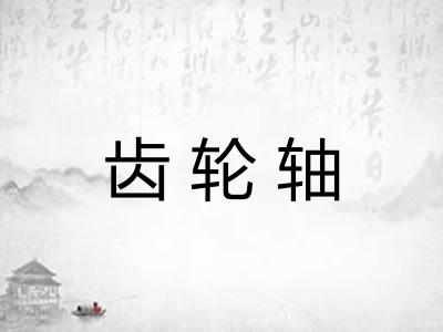 齿轮轴 齿轮轴