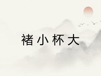 褚小杯大