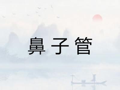 鼻子管