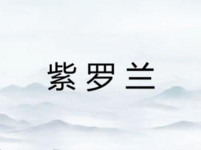 紫罗兰