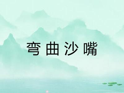 弯曲沙嘴
