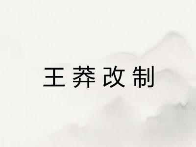 王莽改制