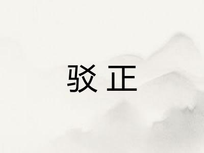 驳正