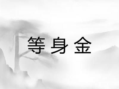 等身金