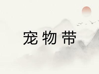 宠物带