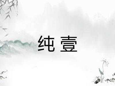 纯壹