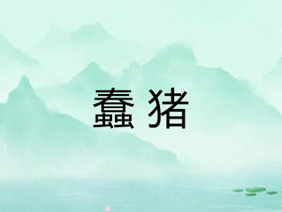 蠢猪