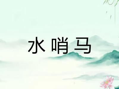 水哨马