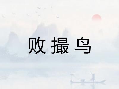 败撮鸟