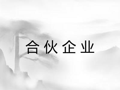 合伙企业