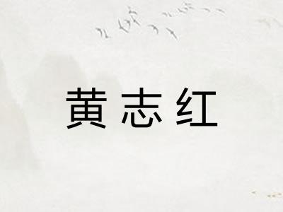 黄志红