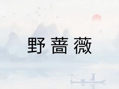 野蔷薇