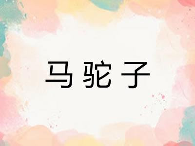 马驼子