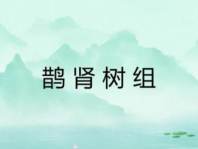 鹊肾树组