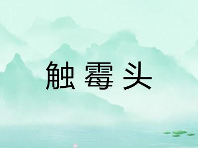 触霉头