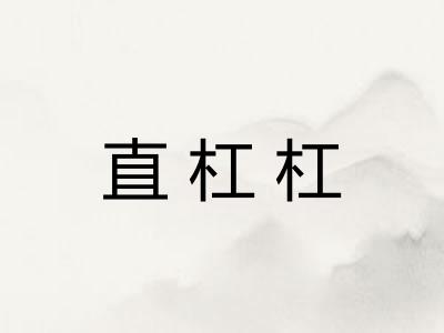 直杠杠