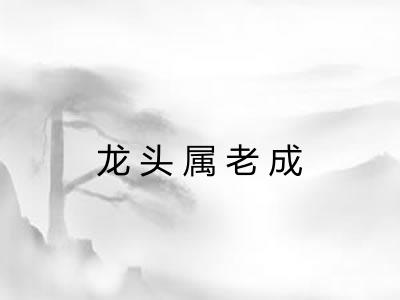 龙头属老成