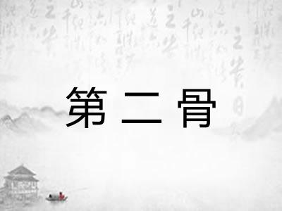 第二骨
