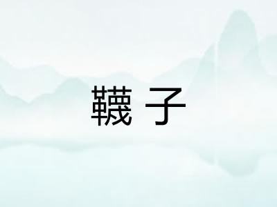 韈子
