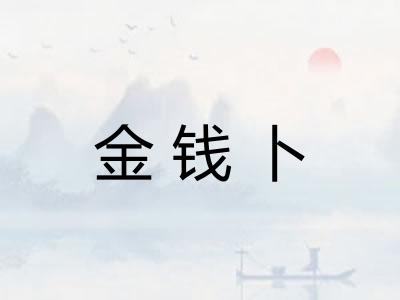 金钱卜