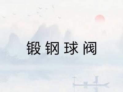 锻钢球阀