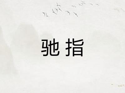 驰指