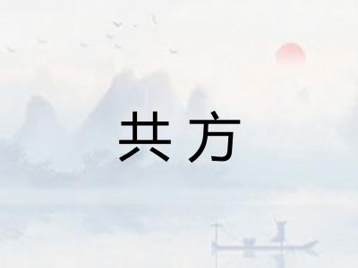 共方