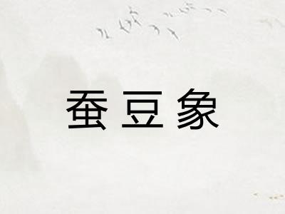 蚕豆象
