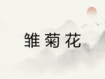 雏菊花