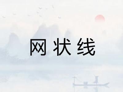 网状线