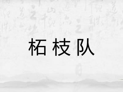 柘枝队